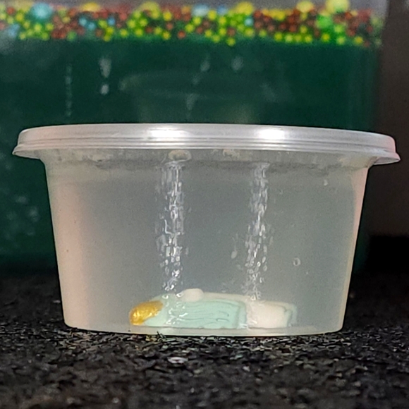 BLACK FRIDAY SALE - Sensory Slimes Custom Made 4 oz. containers - 2 FOR $12 - Picture 10 of 10